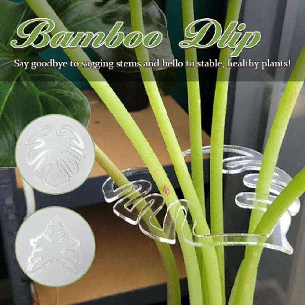 Supply For Florist - 1/2PCS Reusable Turtle Shell Bamboo Clamp