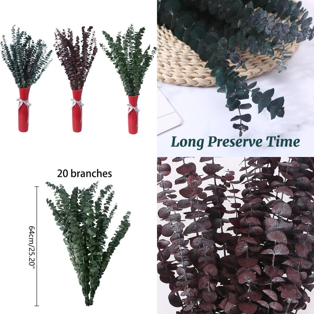 Eucalyptus Preserved - 20Pcs Preserved for Fresh Eucalyptus Branches