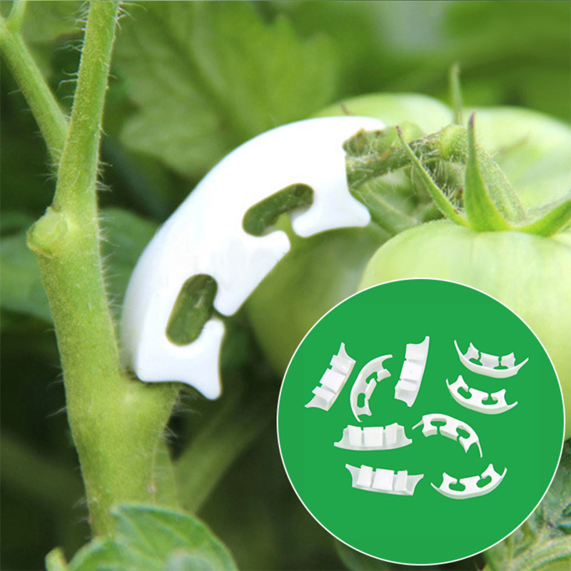 Supply For Florist - 50/100pcs Botany-stem Vine Strapping Clips Garden