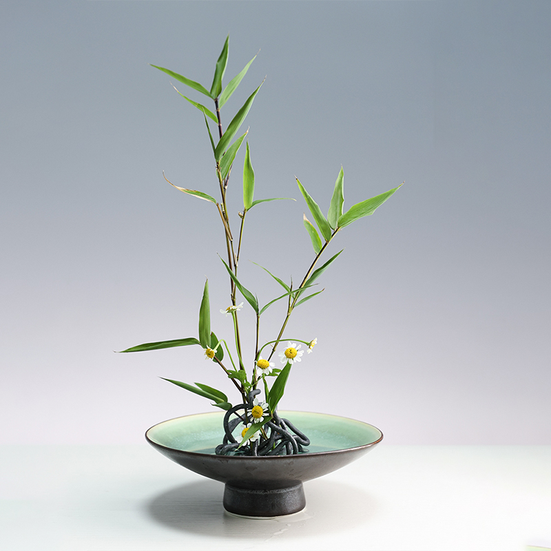 Japanese Ikebana Kenzan Flower - огляд і ціна Flower Frog Pin