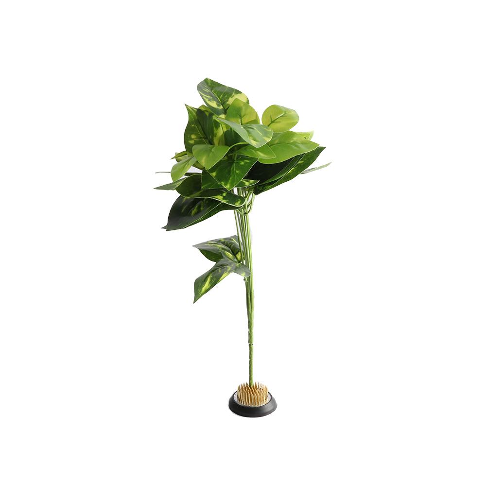 Rubber Kenzan Spiky Needle Flo - огляд і ціна Flower Frog Pin