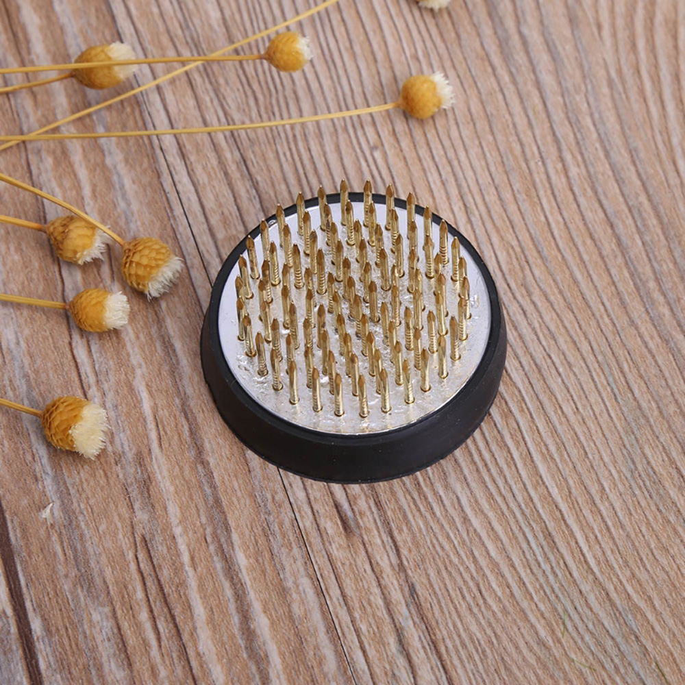 Rubber Kenzan Spiky Needle Art - огляд і ціна Flower Frog Pin
